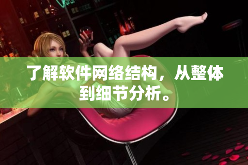了解软件网络结构，从整体到细节分析。