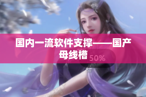 国内一流软件支撑——国产母线槽