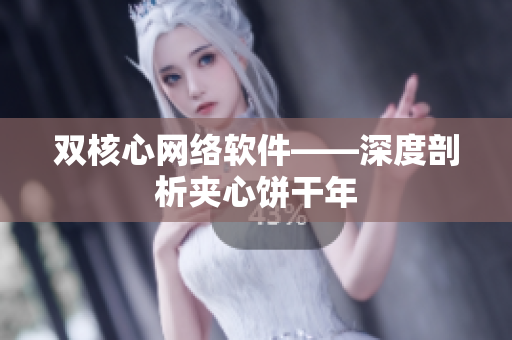 双核心网络软件——深度剖析夹心饼干年