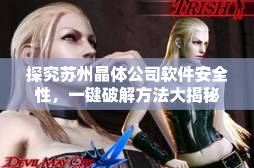 探究苏州晶体公司软件安全性，一键破解方法大揭秘