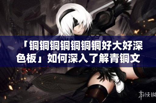 「铜铜铜铜铜铜铜好大好深色板」如何深入了解青铜文化？