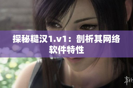 探秘糙汉1.v1：剖析其网络软件特性