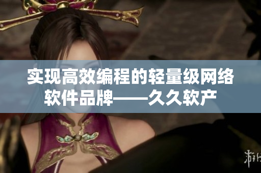 实现高效编程的轻量级网络软件品牌——久久软产