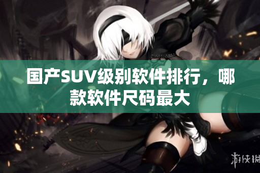 国产SUV级别软件排行，哪款软件尺码最大