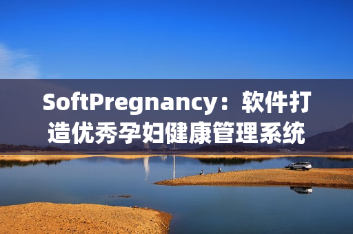 SoftPregnancy：软件打造优秀孕妇健康管理系统