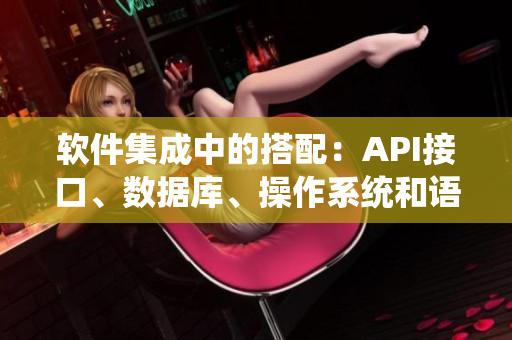 软件集成中的搭配：API接口、数据库、操作系统和语言