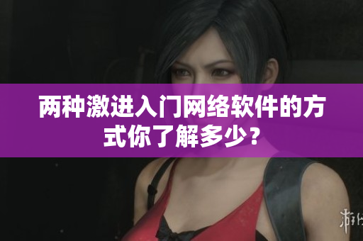 两种激进入门网络软件的方式你了解多少？