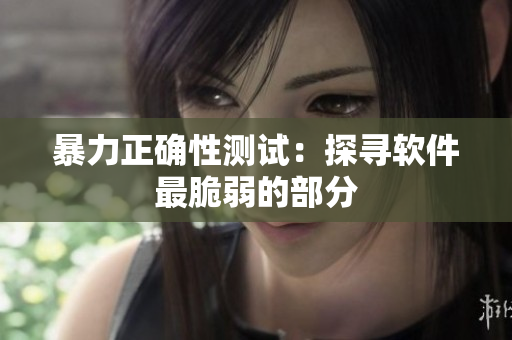 暴力正确性测试：探寻软件最脆弱的部分