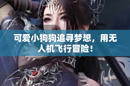 可爱小狗狗追寻梦想，用无人机飞行冒险！