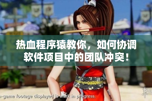 热血程序猿教你，如何协调软件项目中的团队冲突！