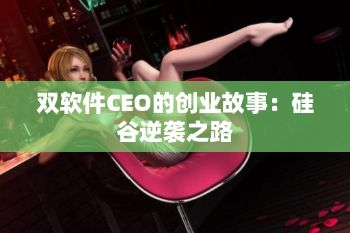 双软件CEO的创业故事：硅谷逆袭之路