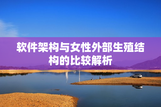 软件架构与女性外部生殖结构的比较解析