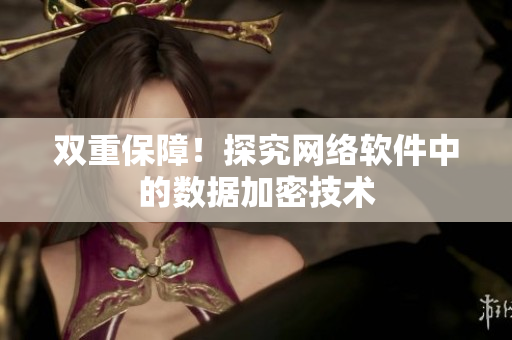 双重保障！探究网络软件中的数据加密技术