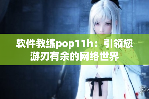 软件教练pop11h：引领您游刃有余的网络世界