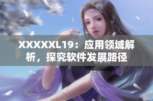 XXXXXL19：应用领域解析，探究软件发展路径