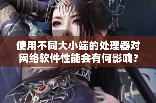 使用不同大小端的处理器对网络软件性能会有何影响？