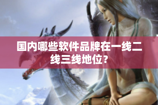 国内哪些软件品牌在一线二线三线地位？