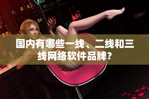 国内有哪些一线、二线和三线网络软件品牌？