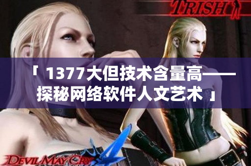 「 1377大但技术含量高——探秘网络软件人文艺术 」