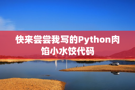快来尝尝我写的Python肉馅小水饺代码
