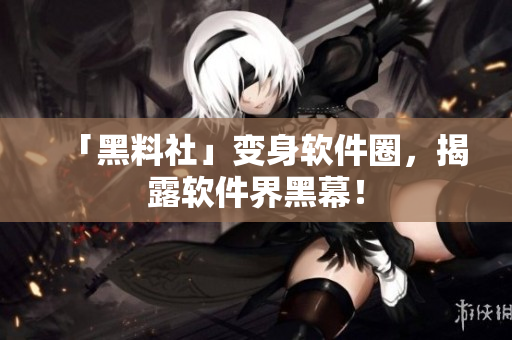 「黑料社」变身软件圈，揭露软件界黑幕！