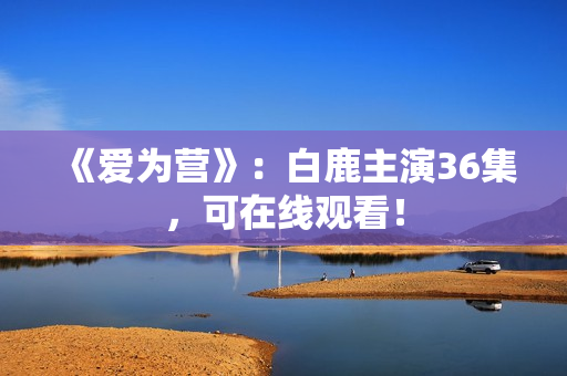 《爱为营》：白鹿主演36集，可在线观看！