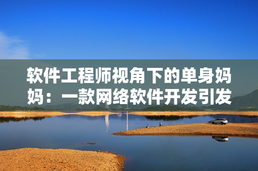 软件工程师视角下的单身妈妈：一款网络软件开发引发的反思