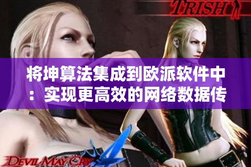 将坤算法集成到欧派软件中：实现更高效的网络数据传输