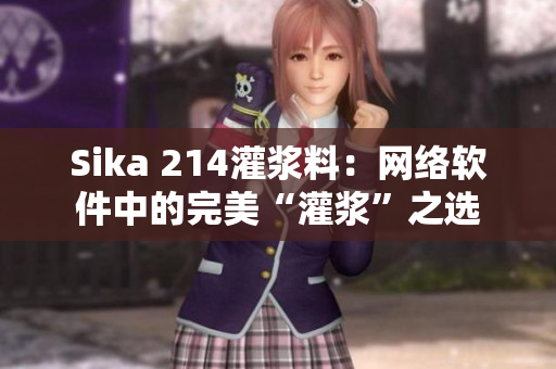 Sika 214灌浆料：网络软件中的完美“灌浆”之选