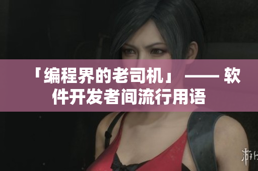 「编程界的老司机」 —— 软件开发者间流行用语