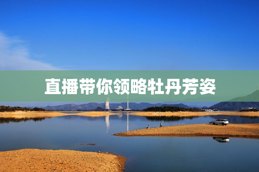 直播带你领略牡丹芳姿