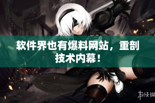 软件界也有爆料网站，重剖技术内幕！