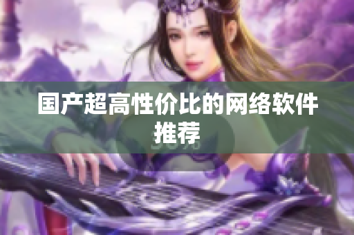国产超高性价比的网络软件推荐