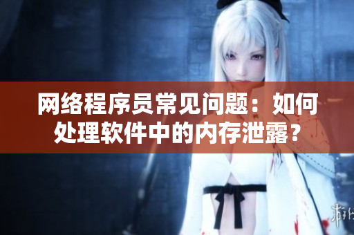 网络程序员常见问题：如何处理软件中的内存泄露？