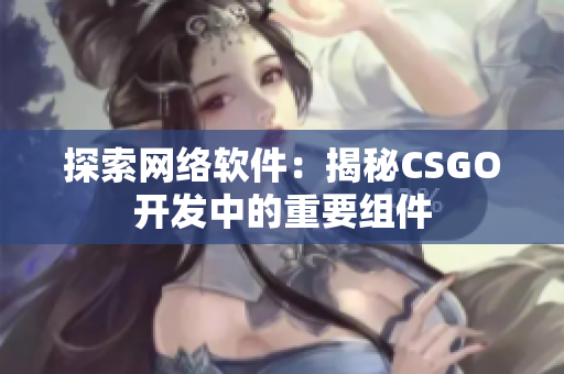 探索网络软件：揭秘CSGO开发中的重要组件