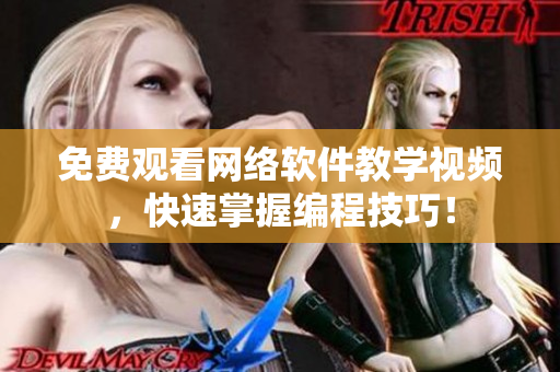 免费观看网络软件教学视频，快速掌握编程技巧！