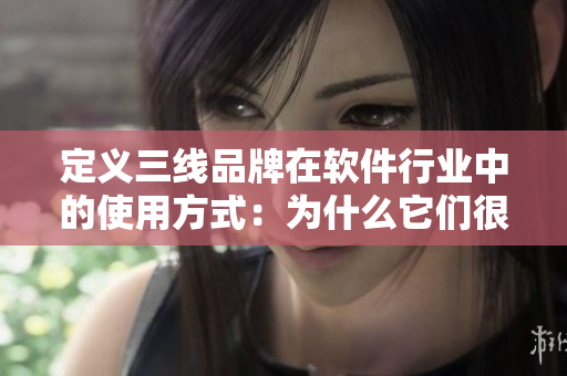 定义三线品牌在软件行业中的使用方式：为什么它们很重要？