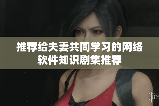 推荐给夫妻共同学习的网络软件知识剧集推荐