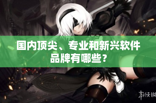 国内顶尖、专业和新兴软件品牌有哪些？