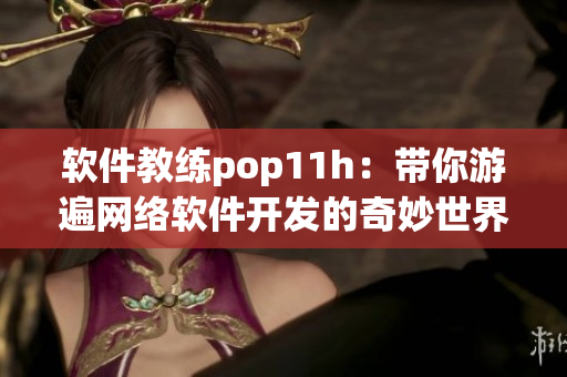 软件教练pop11h：带你游遍网络软件开发的奇妙世界