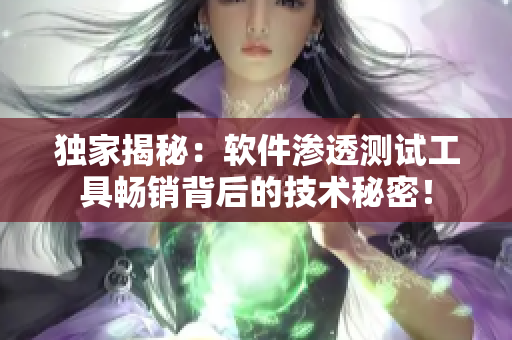 独家揭秘：软件渗透测试工具畅销背后的技术秘密！