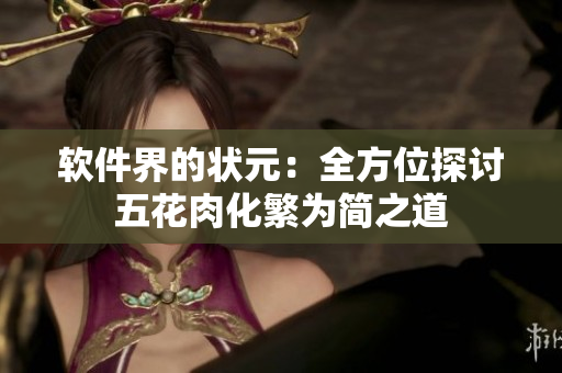 软件界的状元：全方位探讨五花肉化繁为简之道
