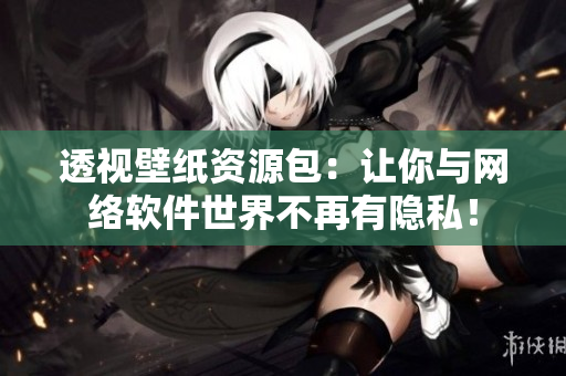 透视壁纸资源包：让你与网络软件世界不再有隐私！