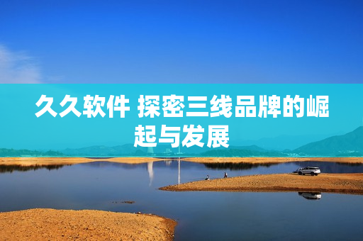 久久软件 探密三线品牌的崛起与发展