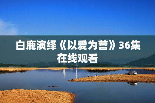 白鹿演绎《以爱为营》36集在线观看