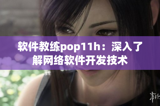 软件教练pop11h：深入了解网络软件开发技术