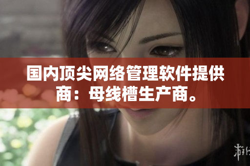 国内顶尖网络管理软件提供商：母线槽生产商。