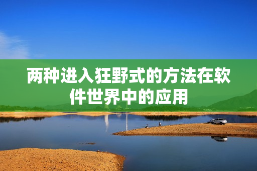 两种进入狂野式的方法在软件世界中的应用