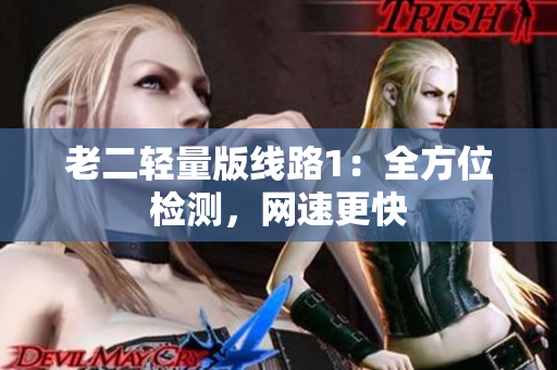 老二轻量版线路1：全方位检测，网速更快