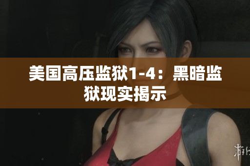美国高压监狱1-4：黑暗监狱现实揭示